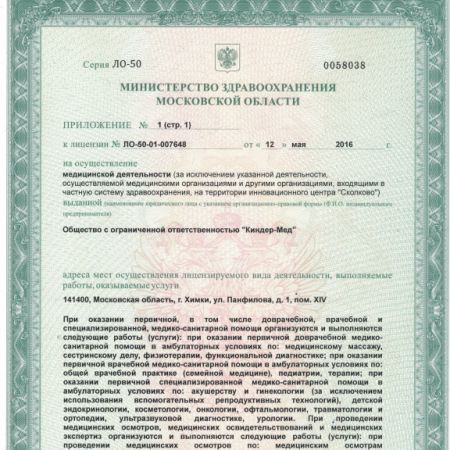 ЛИЦЕНЗИЯ (Н)_0002